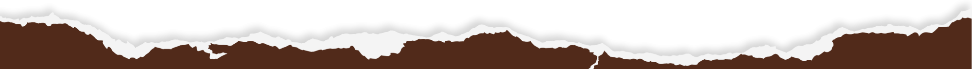 a close up of a logo