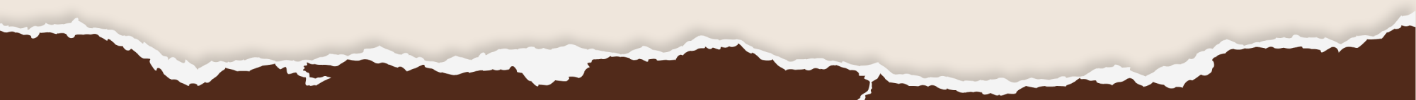 a close up of a logo