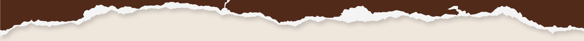 a close up of a logo