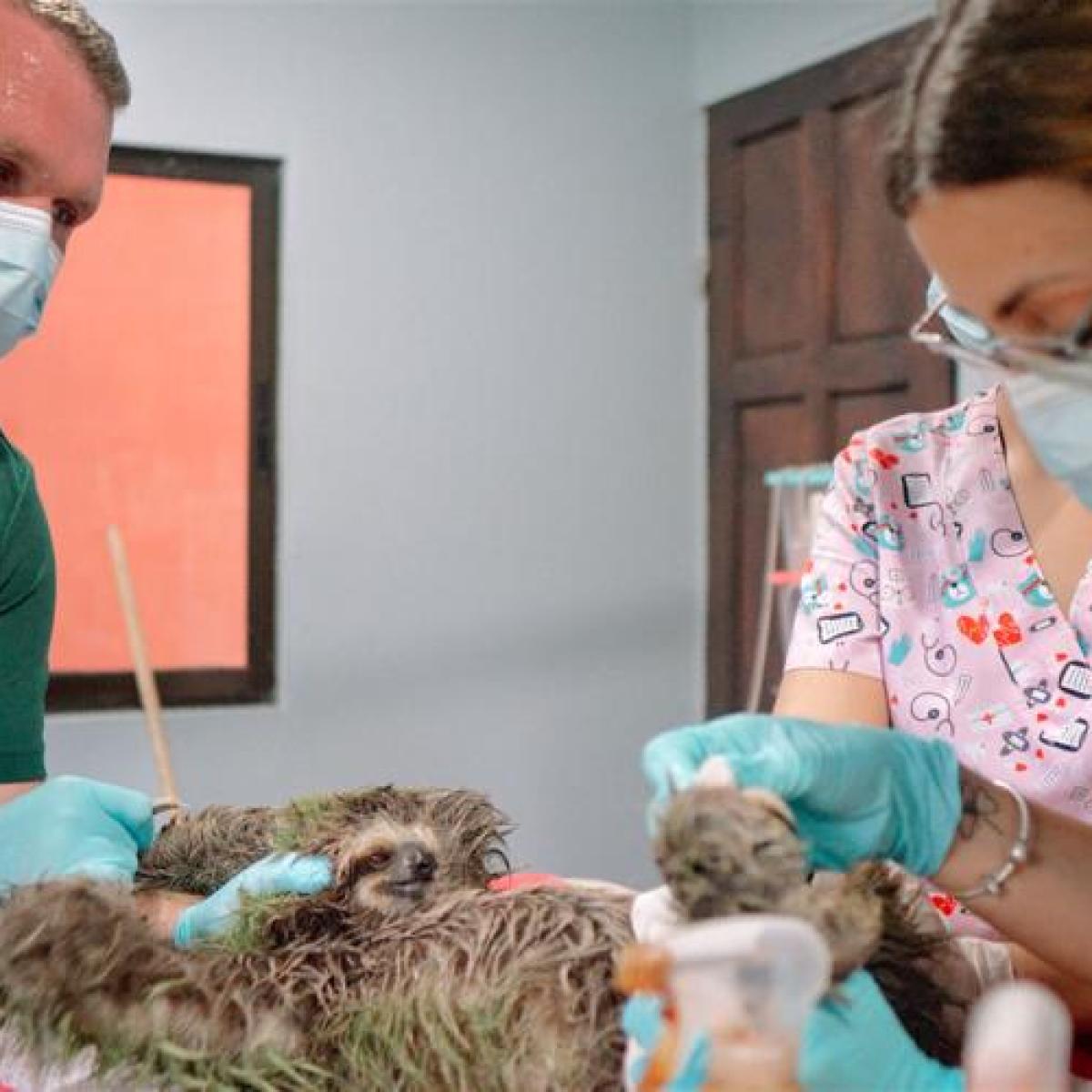 a man and a woman sitting on a table