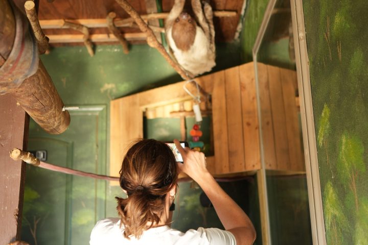 a person standing in front of a mirror posing for the camera