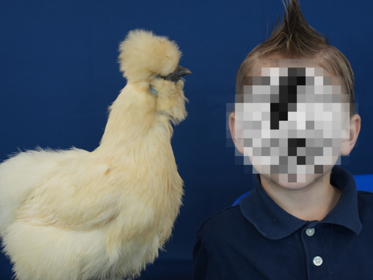 a person holding a bird