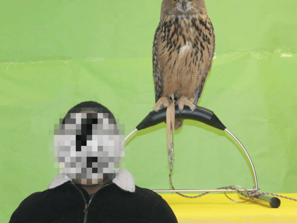 a person standing in front of a bird