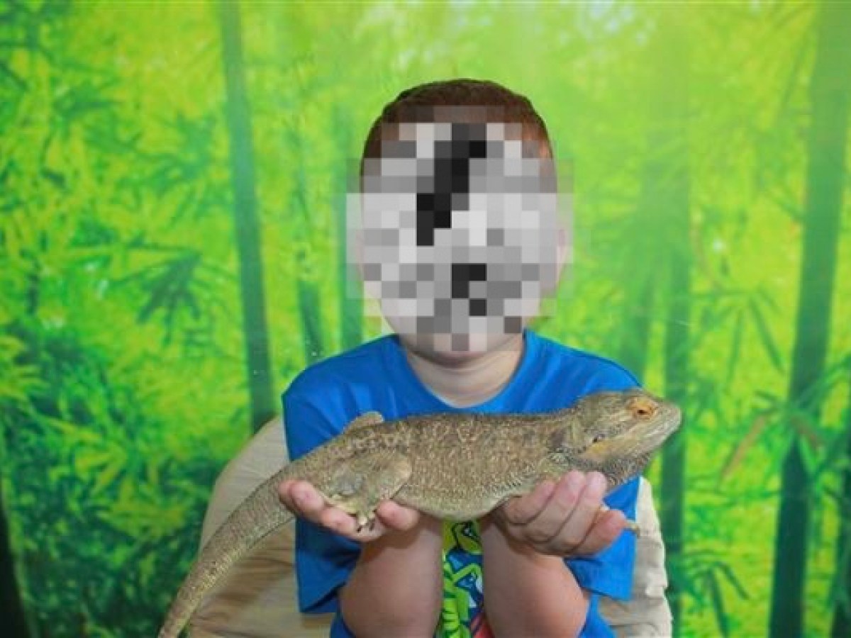 a person holding a lizard