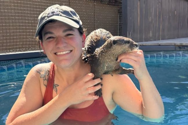 Smiling person in a pool holding an otter on their shoulder.