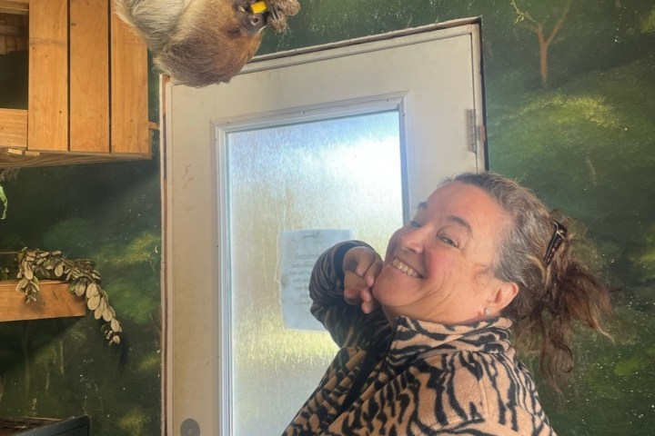 Woman in patterned jacket smiling at a sloth hanging upside down near a door.